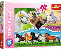 Puzzle 200 Nádherné kone