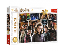 Puzzle 160 Harry Potter a priatelia