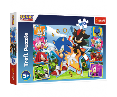 Puzzle 100 Sonic