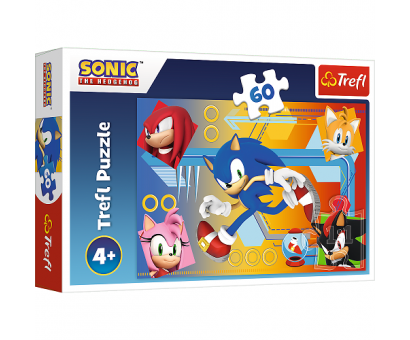 Puzzle 60 Sonic v akcii