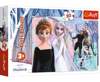 Puzzle 30 Magická Frozen 2