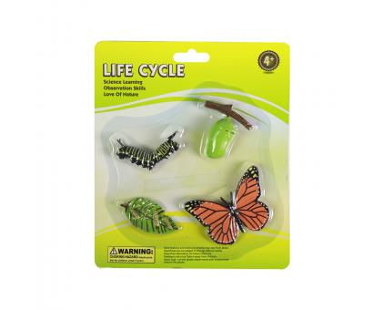 Životný cyklus motýľa