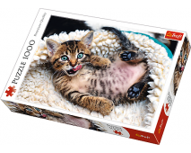 Puzzle 1000 Roztomilé mačičky