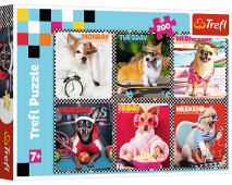 Puzzle 200 Šťastné psy