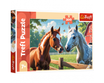 Puzzle 200 Kone