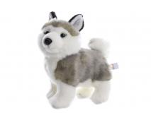 Plyš Husky 22 cm