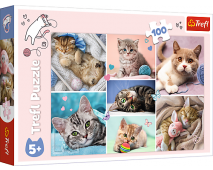 Puzzle 100 Mačací svet