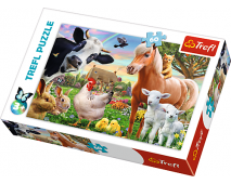 Puzzle 60 Farma
