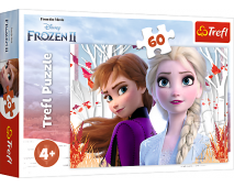 Puzzle 60 Frozen 2
