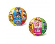 Lopta Paw Patrol 23cm