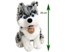 Plyš Husky sediaci 25cm