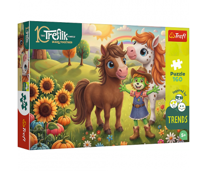 Puzzle 160 Kone
