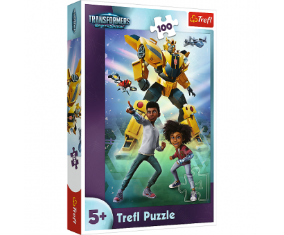 Puzzle 100 Transformers