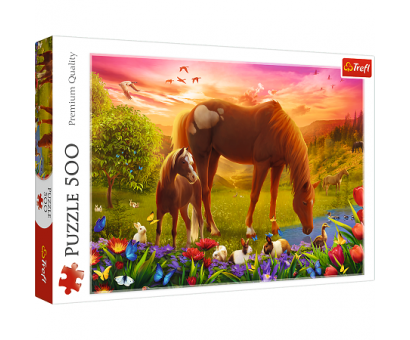 Puzzle 500 Kone na lúke
